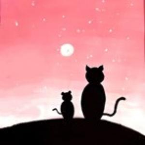 Bài 3- Chú mèo dưới trăng