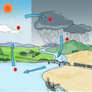 Buổi 1: Lập sơ đồ vòng tuần hoàn của nước