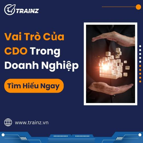 CDO Là Gì? Vai Trò Và Tầm Quan Trọng (Cơ Hội Nghề Nghiệp Hấp Dẫn)